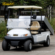 2 Sitzer elektrische Golfwagen China Mini Buggy zum Verkauf Club Auto Golf Buggy Wagen